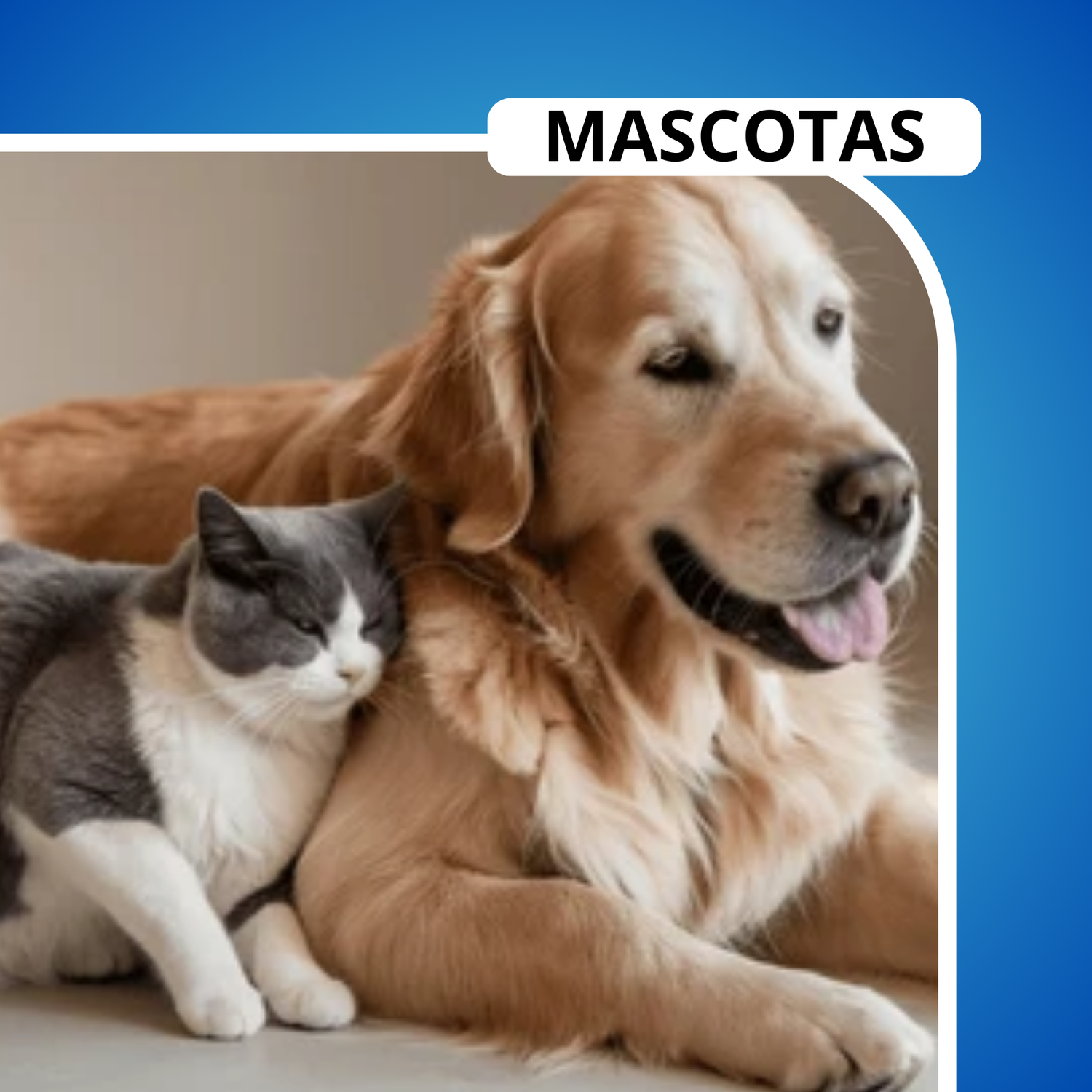 MASCOTAS